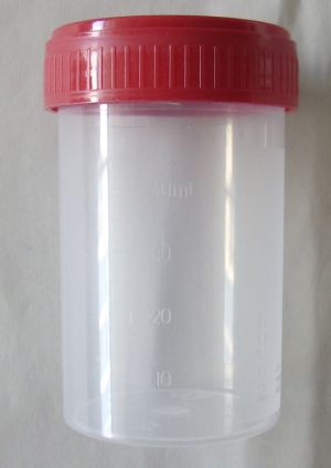 Container